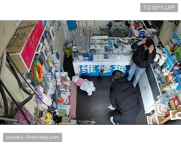 花絮：一只迷路小猫闯入赛场导致比赛暂停，后被安全带走